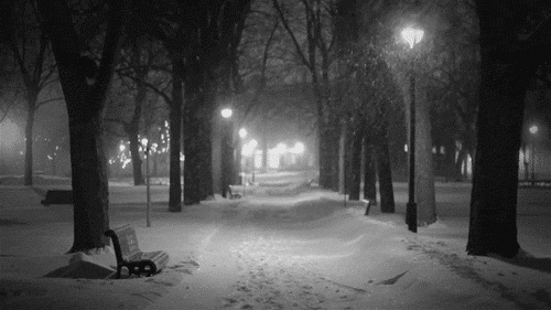 b0221643_1051219.gif