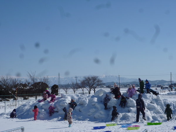 雪山登り＆お尻すべり♪♪（チューリップ）_a0180348_1626387.jpg