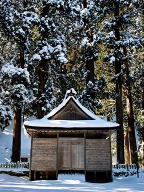 針畑の高低差100ｍ、この一滴から・・・・大宮・思子淵神社_d0005250_18403534.jpg