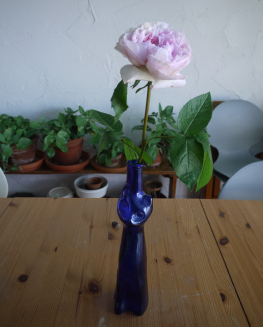 バラと花瓶とウーラちゃん。_e0356356_15331319.jpg