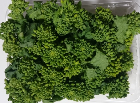 野菜の話_e0139459_9194255.jpg