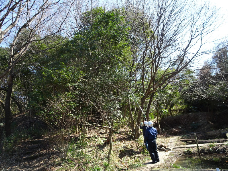 c0108460_23352566.jpg