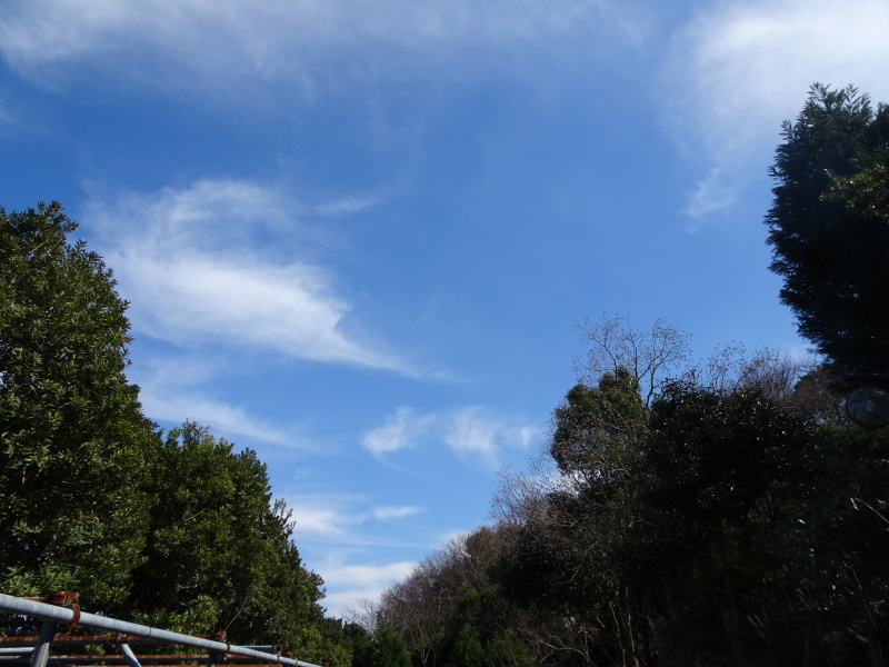 c0108460_23353038.jpg