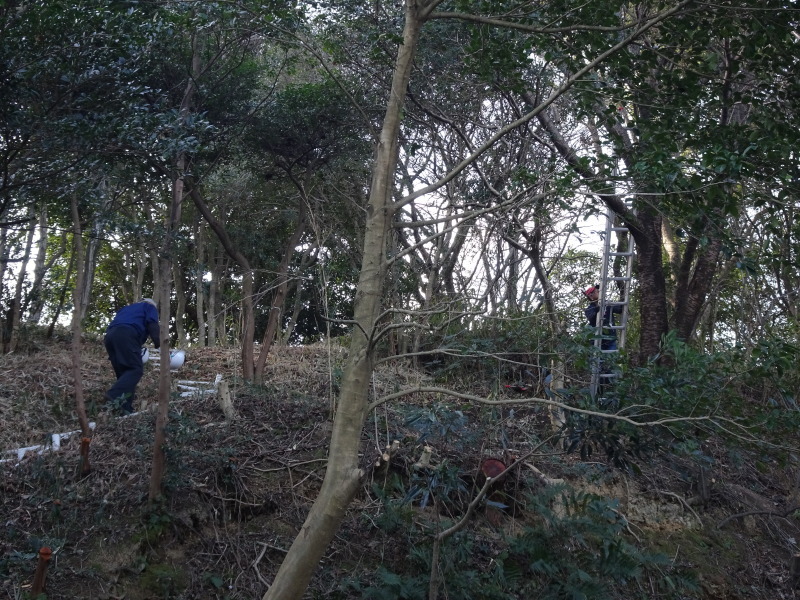 c0108460_23395062.jpg