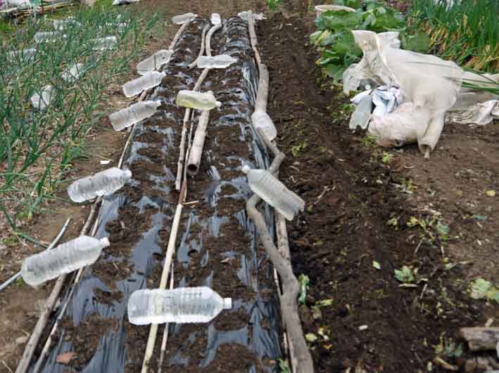 防霜対策して例年より早くジャガイモ植え付け2 17 北鎌倉湧水ネットワーク 防霜対策して例年より早くジャガイモ植え付け2 17 北鎌倉湧水ネットワーク