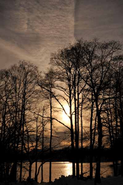 e0064375_18163430.gif