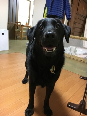 e0160787_22353143.jpeg