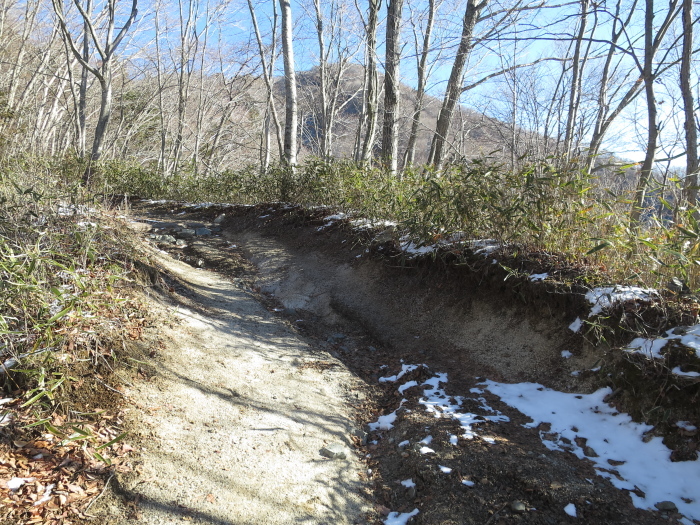 b0339488_22041280.jpg