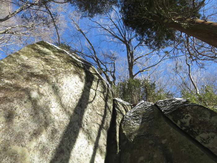 b0339488_22152926.jpg