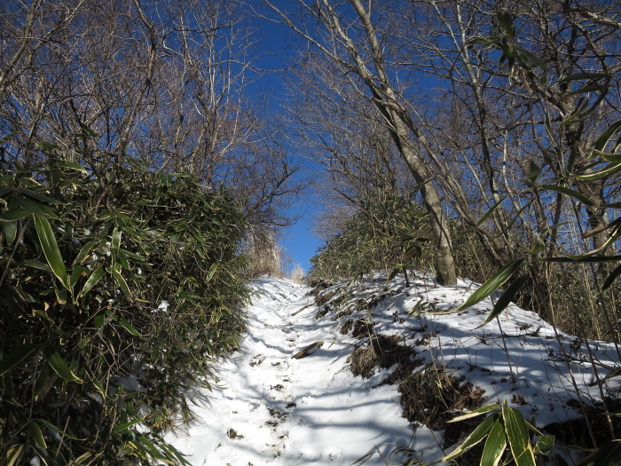 b0339488_22212593.jpg