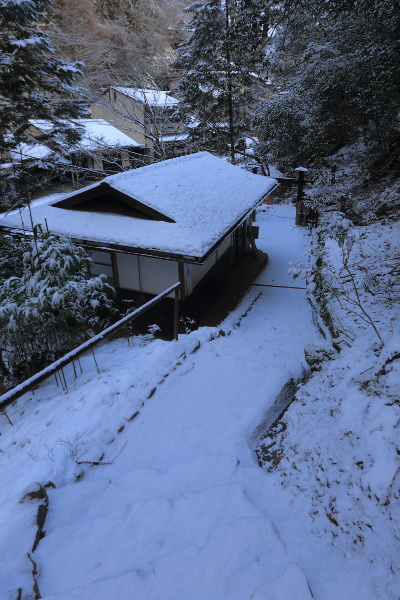 鞍馬寺_e0051888_2134393.jpg