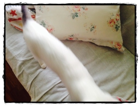 b0292900_22533687.jpeg