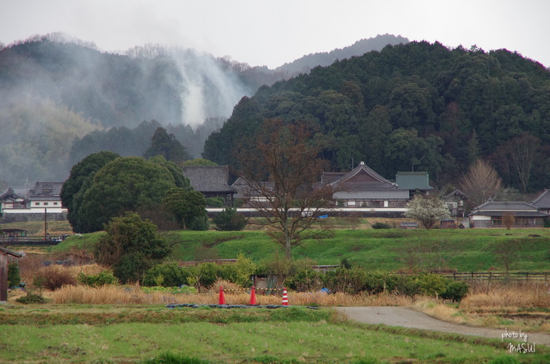 明日香　岡から稲渕　（撮影順）_d0342307_10114495.jpg