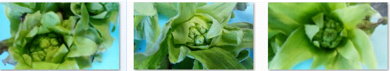 f0231709_15321964.gif