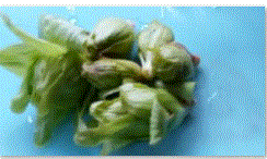 f0231709_1538454.gif