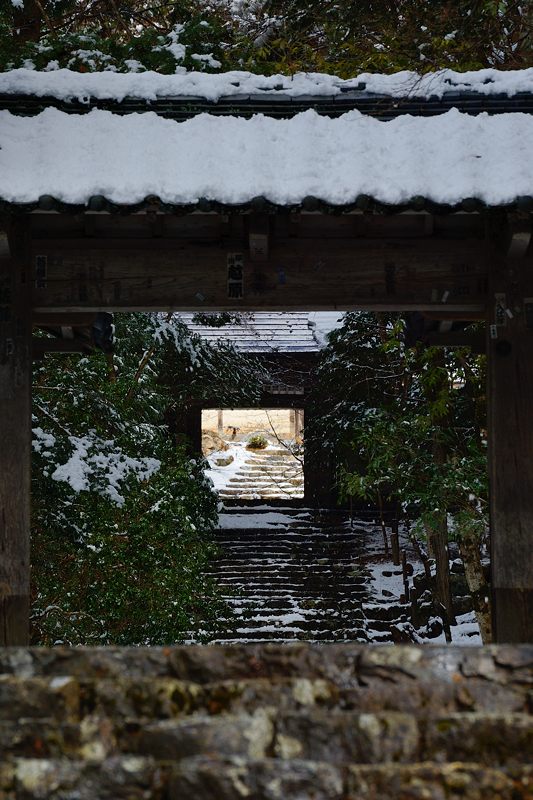 雪を求めて北へ!!!@常照皇寺 其の三_f0032011_19272874.jpg