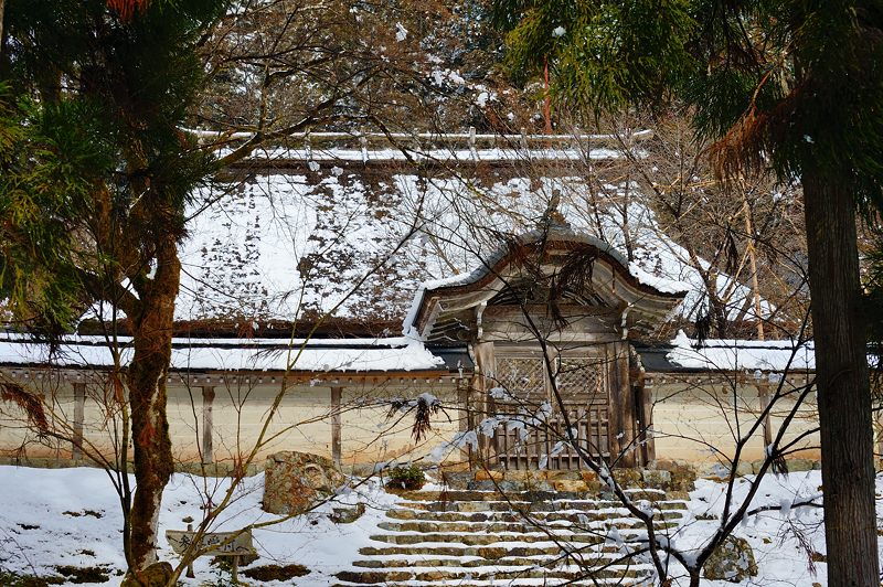雪を求めて北へ!!!@常照皇寺 其の三_f0032011_1929067.jpg