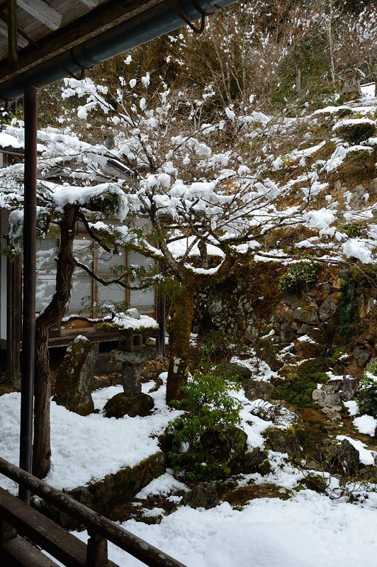 雪を求めて北へ!!!@常照皇寺 其の三_f0032011_1930124.jpg