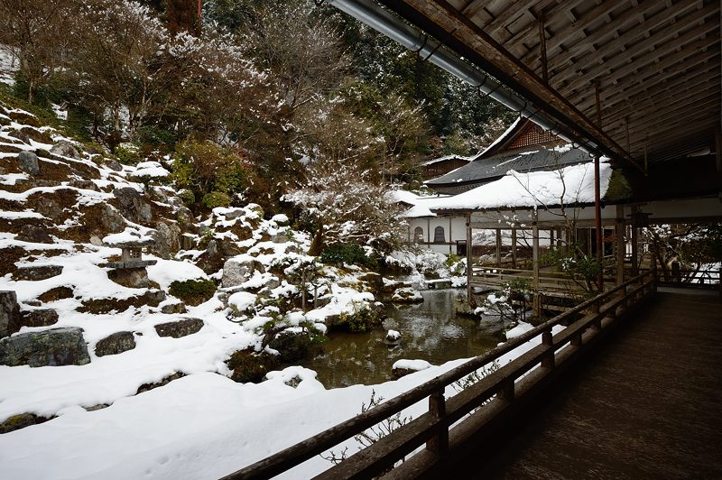 雪を求めて北へ!!!@常照皇寺 其の三_f0032011_19302098.jpg