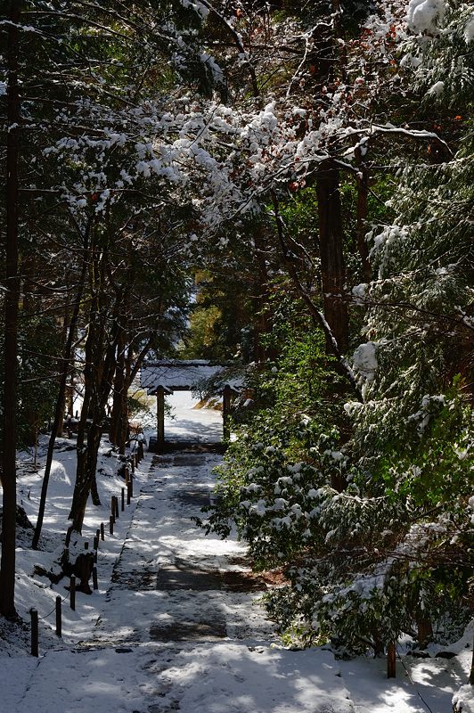 雪を求めて北へ!!!@常照皇寺 其の三_f0032011_19321968.jpg