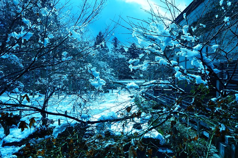 雪を求めて北へ!!!@常照皇寺 其の三_f0032011_1932337.jpg