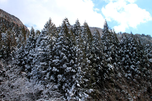 比良山の麓の雪景色_e0048413_21112461.jpg
