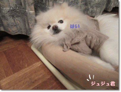 b0167519_0471424.gif