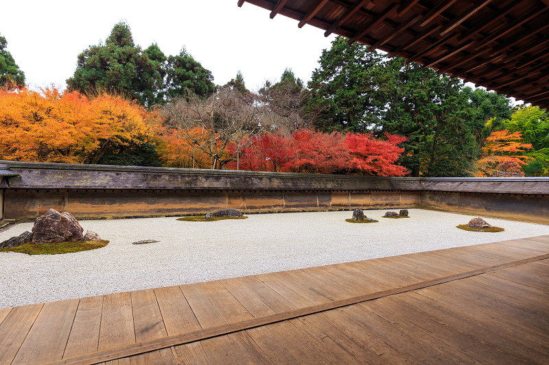 京都の紅葉2015・龍安寺（石庭編）_f0155048_22225530.jpg