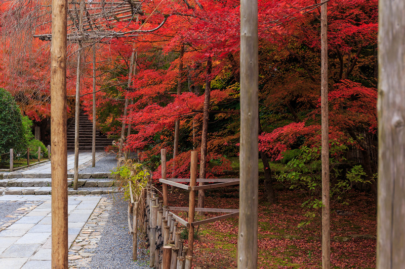 京都の紅葉2015・龍安寺（石庭編） : 花景色－K.W.C. PhotoBlog