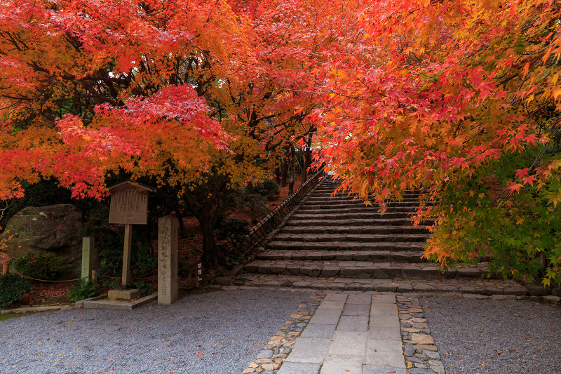 京都の紅葉2015・龍安寺（石庭編）_f0155048_22233080.jpg