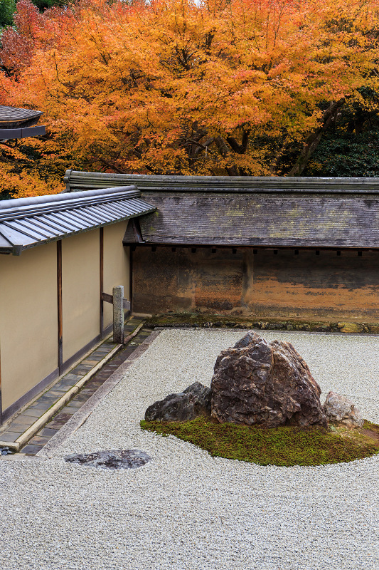 京都の紅葉2015・龍安寺（石庭編）_f0155048_2228334.jpg