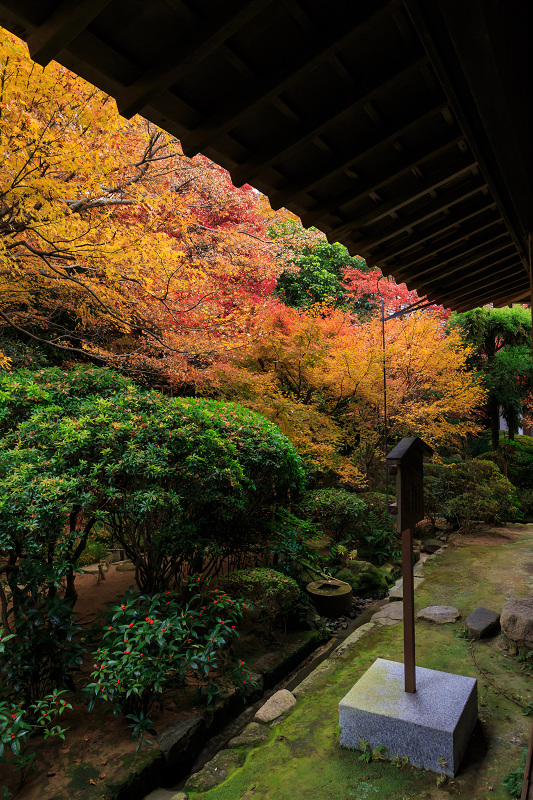 京都の紅葉2015・龍安寺（石庭編）_f0155048_2231232.jpg