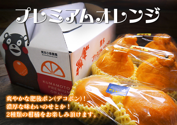 大人気の２大柑橘類（デコポン+せとか）をセットにして“プレミアムオレンジ”販売開始!!_a0254656_18242270.jpg