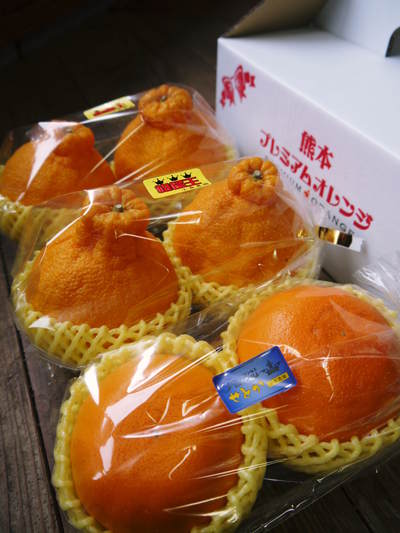 大人気の２大柑橘類（デコポン+せとか）をセットにして“プレミアムオレンジ”販売開始!!_a0254656_2064890.jpg