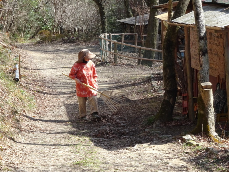 北尾根新山道は「ヤマモモの道」とネーミング　in 　孝子の森_c0108460_19514163.jpg