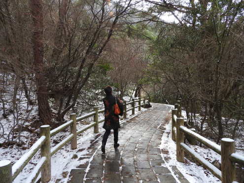 旅の目的「ルーツを訪ねて」_c0260460_08182145.jpg