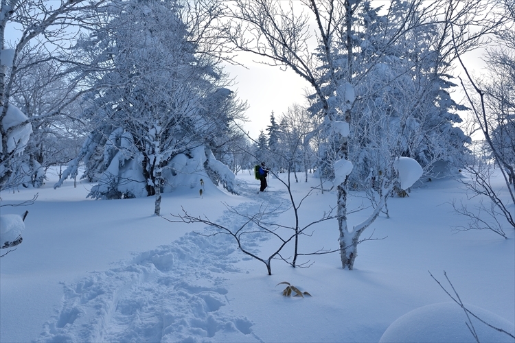 樹氷が綺麗な、徳舜瞥山！_b0281366_10260966.jpg