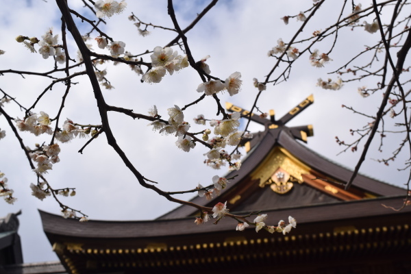 東京散策　～湯島天神・上野編_f0341967_16311909.jpg