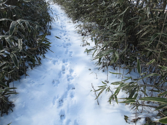 平尾山_b0339488_18275410.jpg