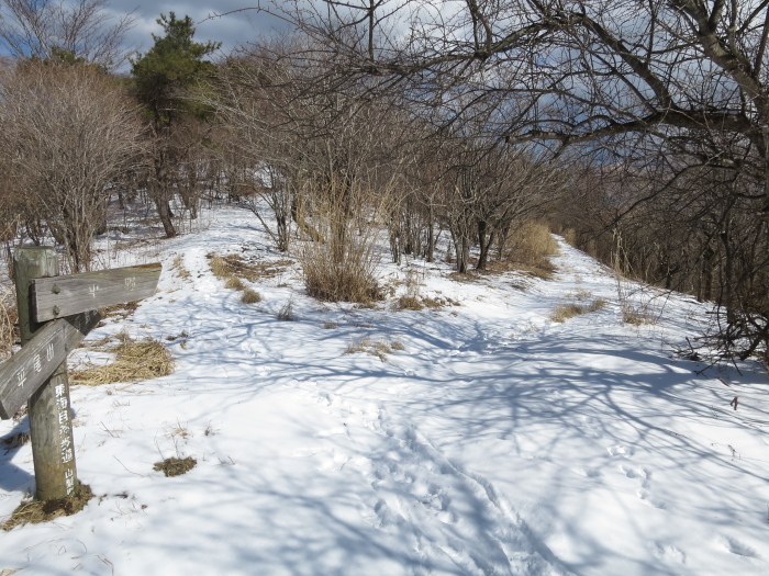 平尾山_b0339488_19560555.jpg