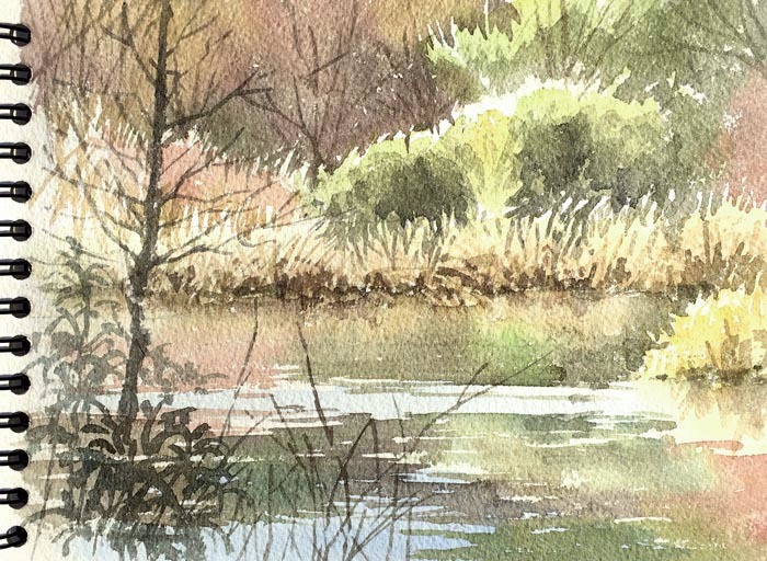 舞岡公園 _f0253789_19461301.jpg