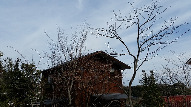 a0244794_153318.jpg