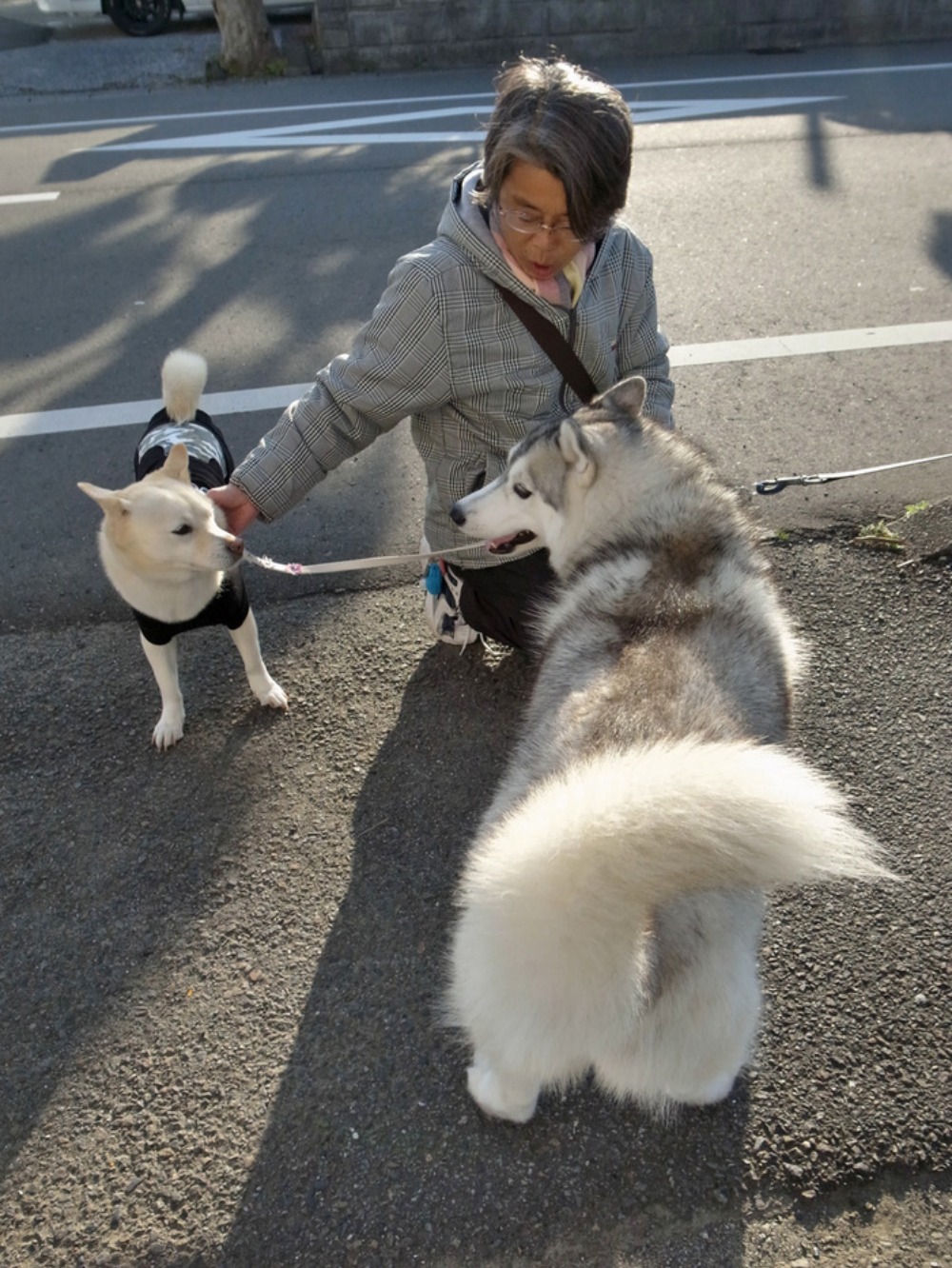 ユキちゃん(*^_^*)_c0049299_22505835.jpg