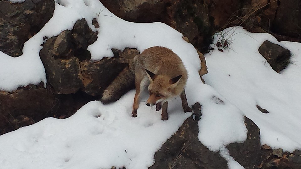 カソルラ山に雪が降る 村人生活 スペイン