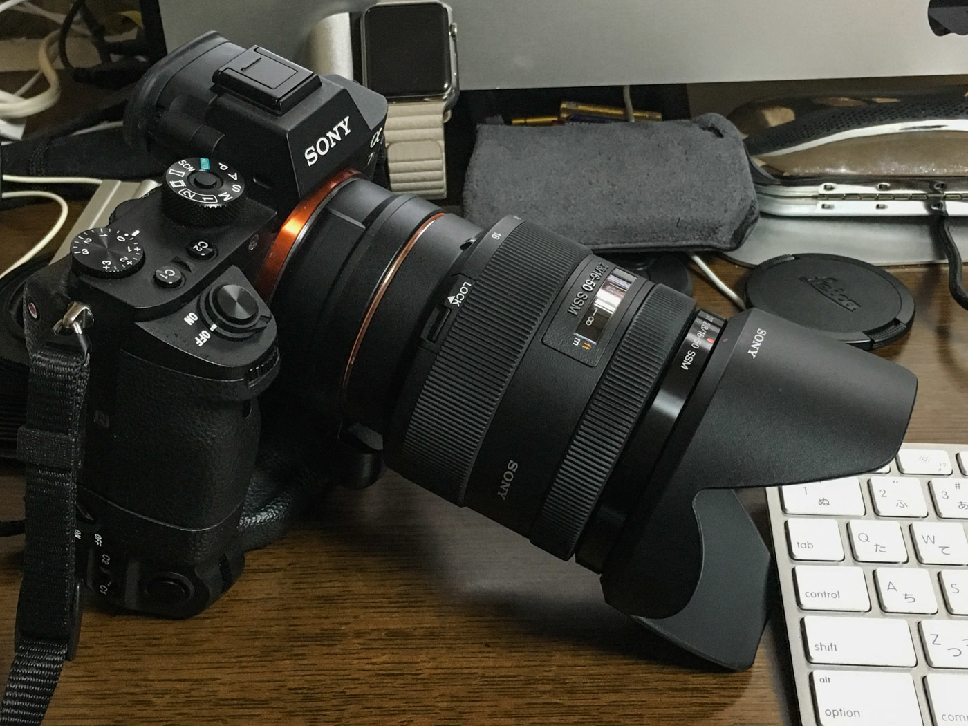 SONYα7RM2 DT16-50mm F2.8 SSM SAL1650 : de temps en temps