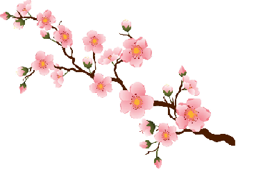 続・安易に市販薬を飲むことの怖さ(中平)_f0354314_17272175.png