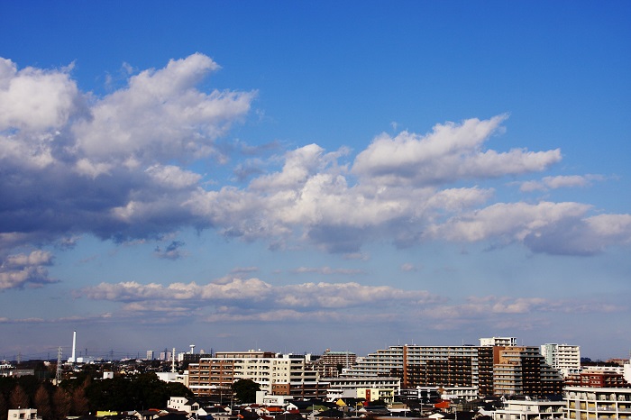 b0268615_839141.jpg