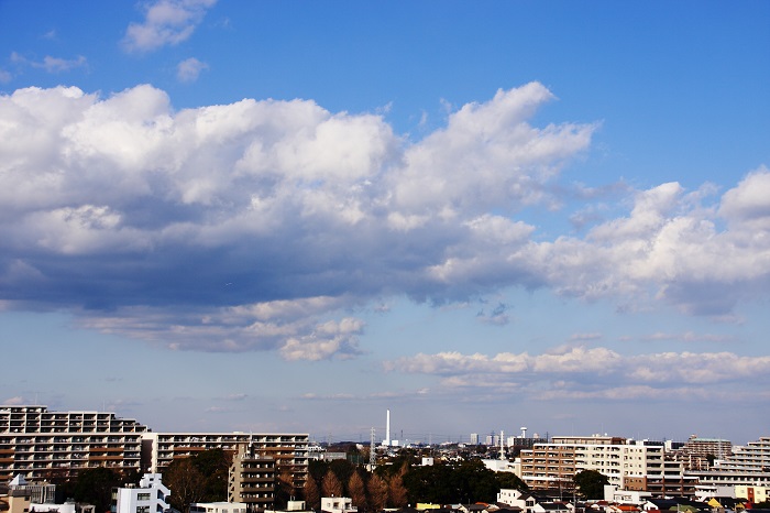 b0268615_8391866.jpg