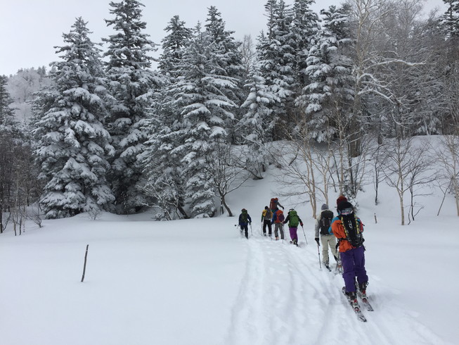 2016年2月　『パウダースノーの聖地、北海道』　February 2016 \"Sanctuary of Powder Snow in the World\"_c0219616_2062469.jpg