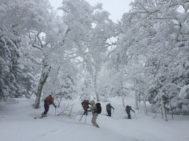 2016年2月　『パウダースノーの聖地、北海道』　February 2016 \"Sanctuary of Powder Snow in the World\"_c0219616_20732.jpg